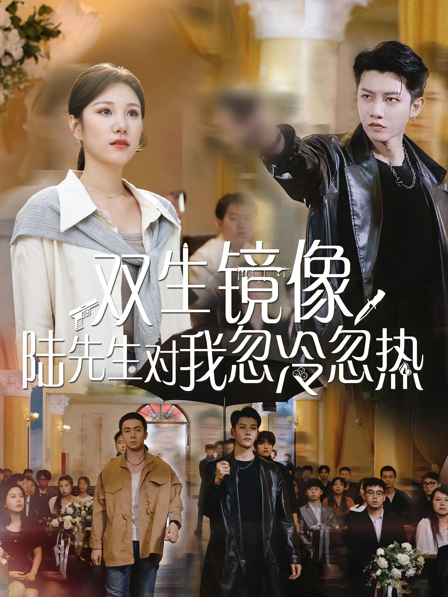 双生镜像陆先生对我忽冷忽热第01集