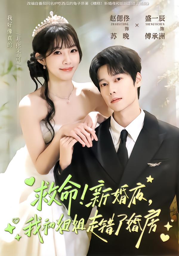救命！新婚夜，我和姐姐走错了婚房第31集