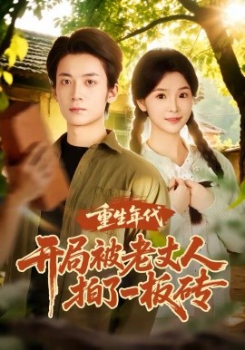 重生年代开局被老丈人拍了一板砖第36集