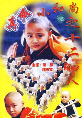 真命小和尚之十二铜人第07集