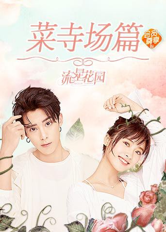 星花园菜寺场篇第17集
